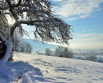 Schneebericht und Loipen-Infos